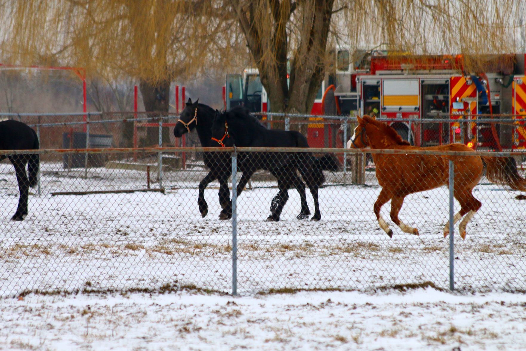 Barn fire